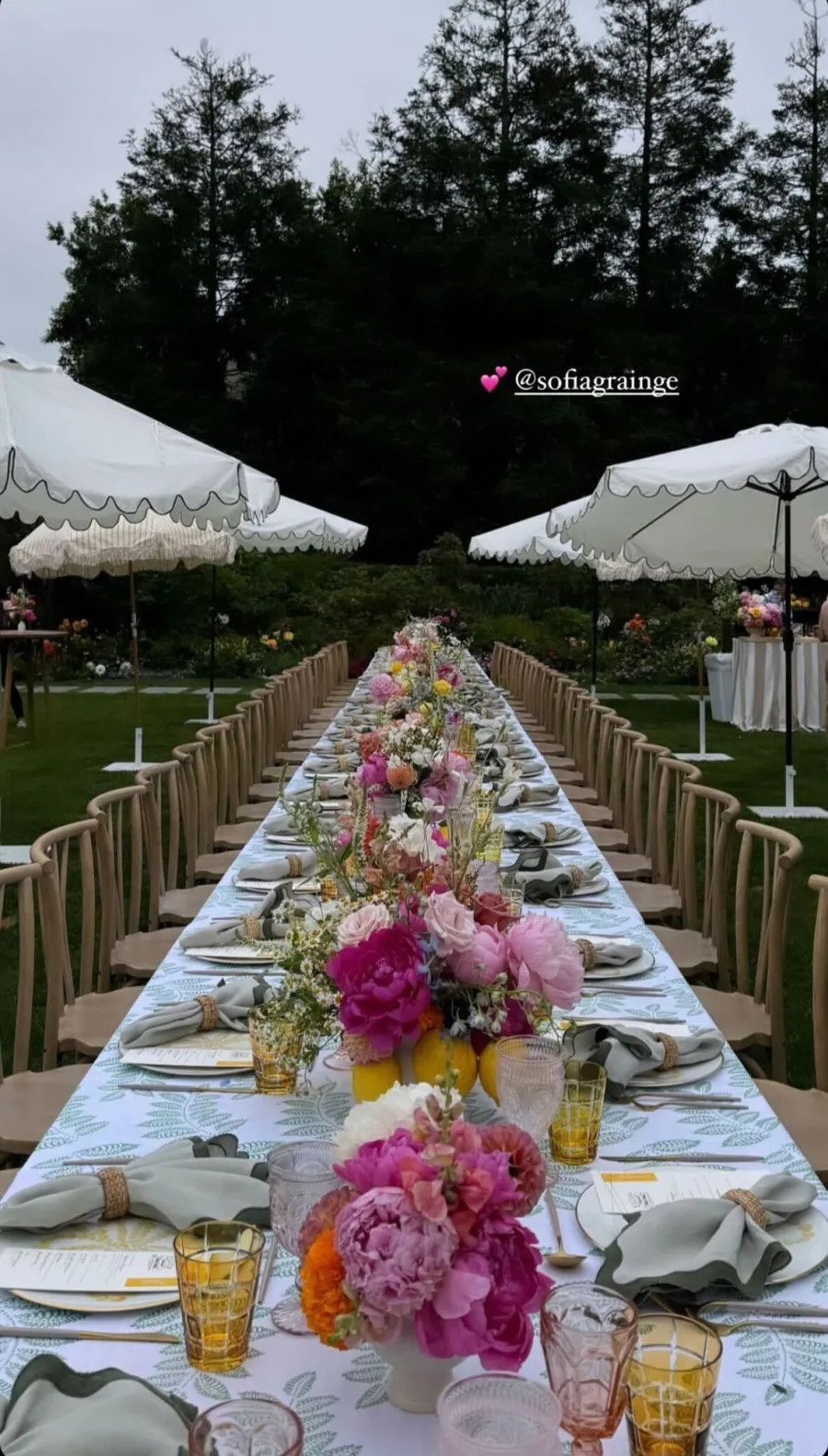 Inside Sofia Richies Backyard Brunch in Honor of Baby Eloise