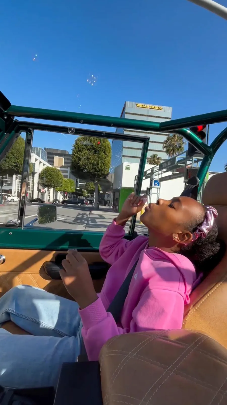 LeBron James family album