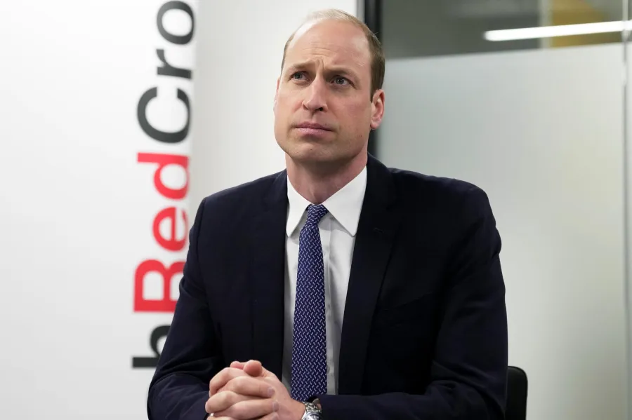 Prince William Through the Years