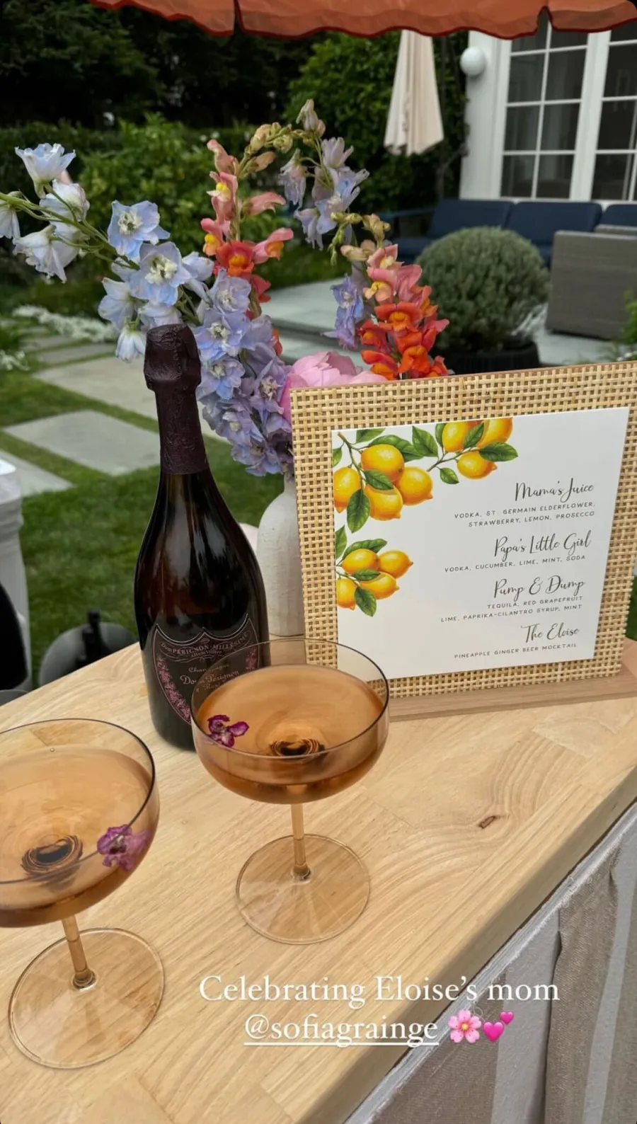 Inside Sofia Richies Backyard Brunch in Honor of Baby Eloise