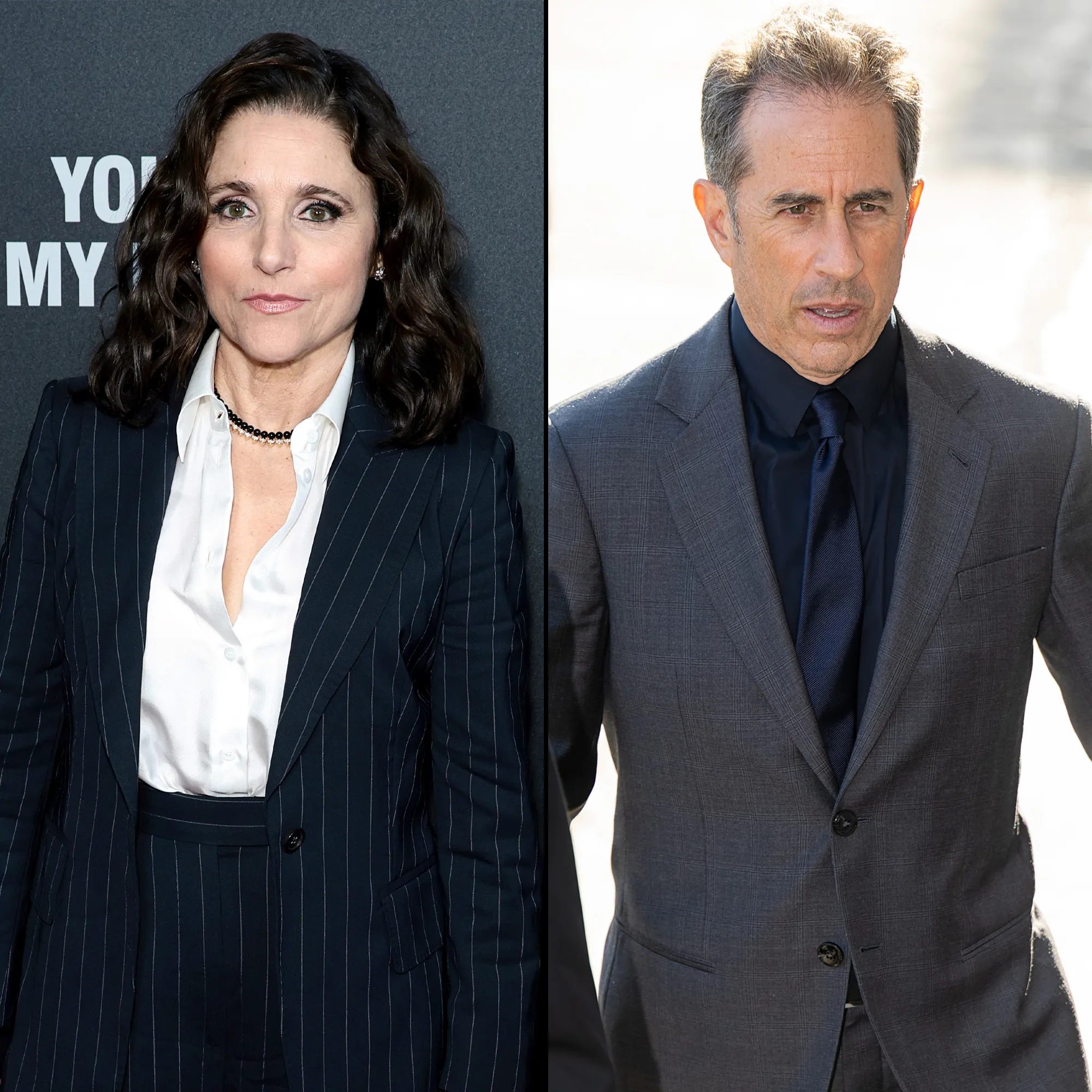 Julia Louis-Dreyfus Pushes Back on Jerry Seinfeld’s Red Flag Remarks