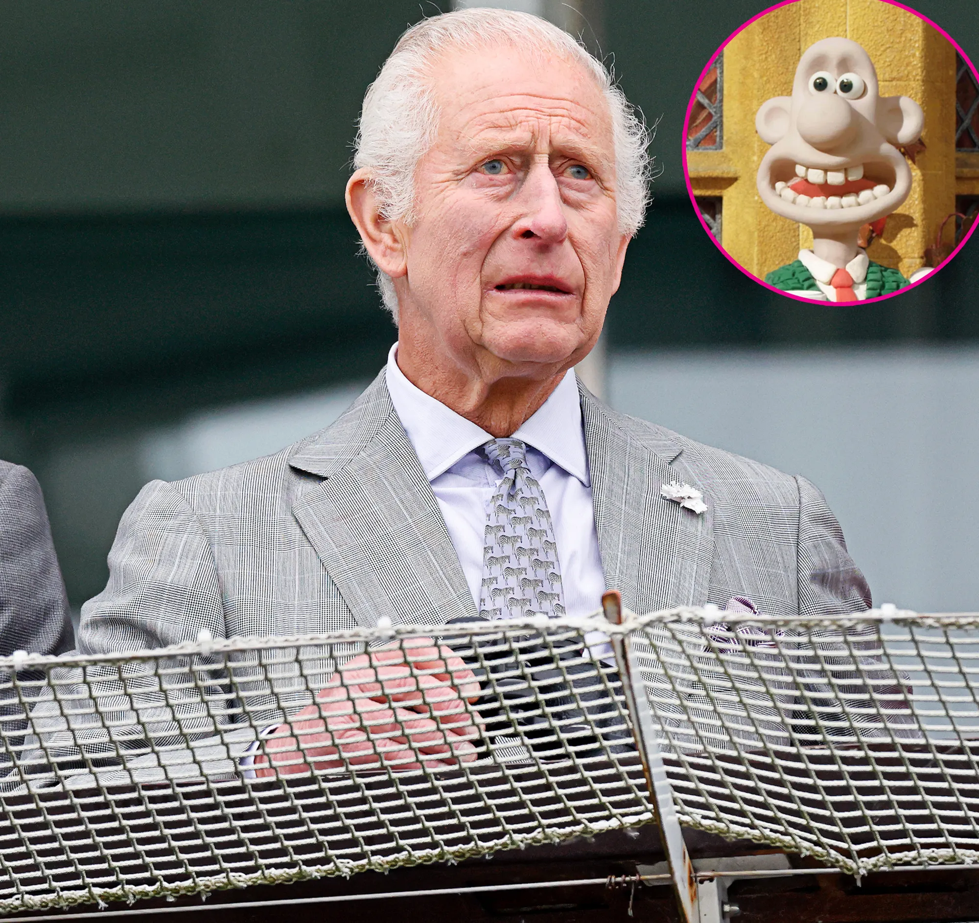 King Charles New Portrait Vandalized With Wallace Gromit Cartoon