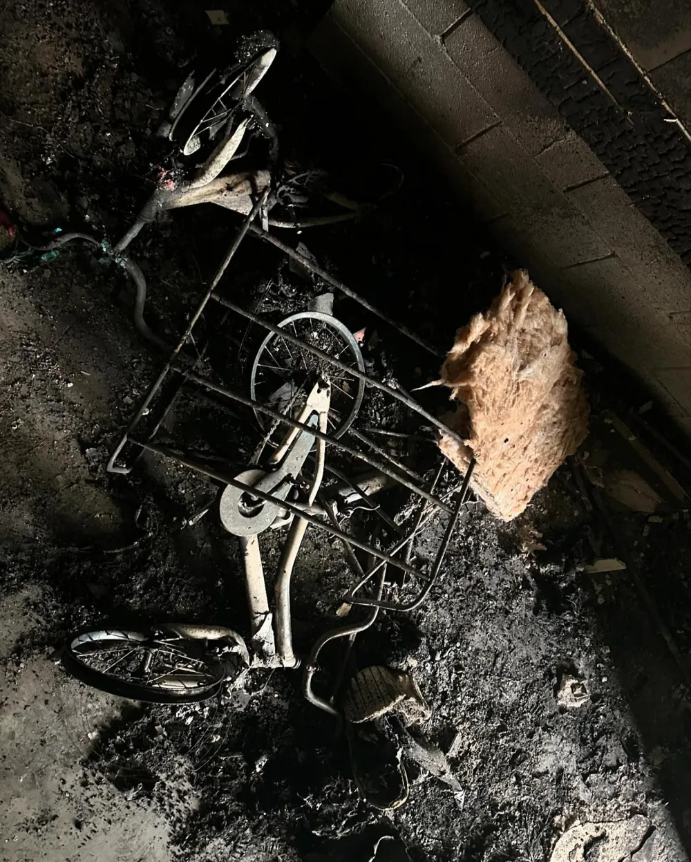 NFL Star Randall Cobb and Family Lucky to Be Alive After Tesla Charger Starts House Fire