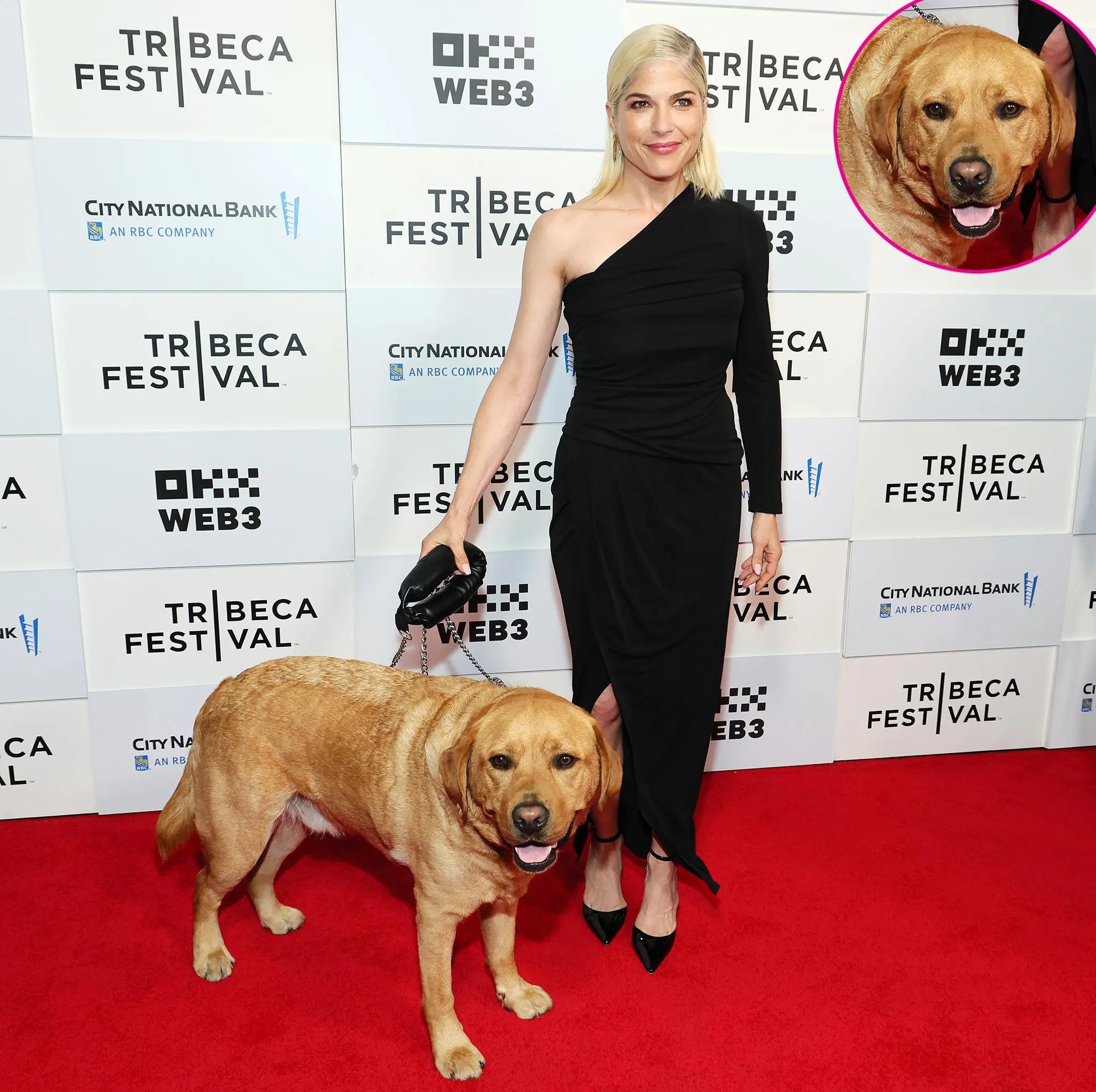 Promo Selma Blair Hits Red Carpet With Adorable Service Dog Scout at 2024 Tribeca Film Festival