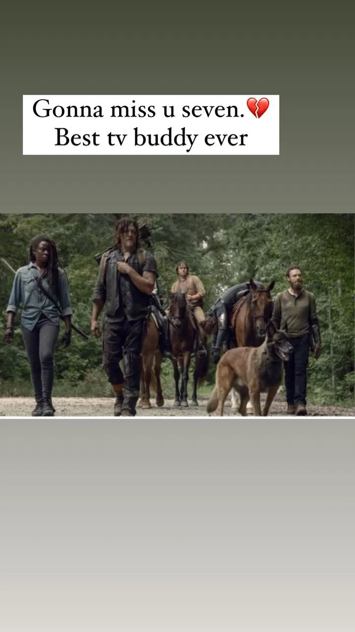  The Walking Dead&rsquo;s Norman Reedus Mourns Death of Onscreen Dog 2