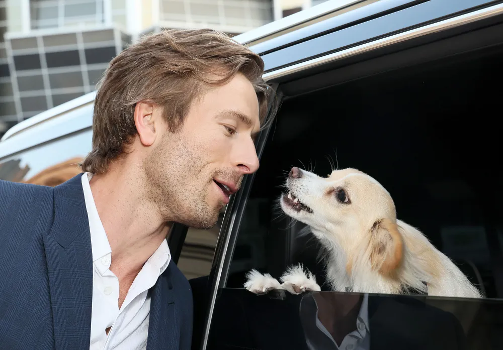 Glen Powell Knows His Internet Famous Dog Brisket Was &lsquo;Meant to Be on a Movie Set&rsquo;