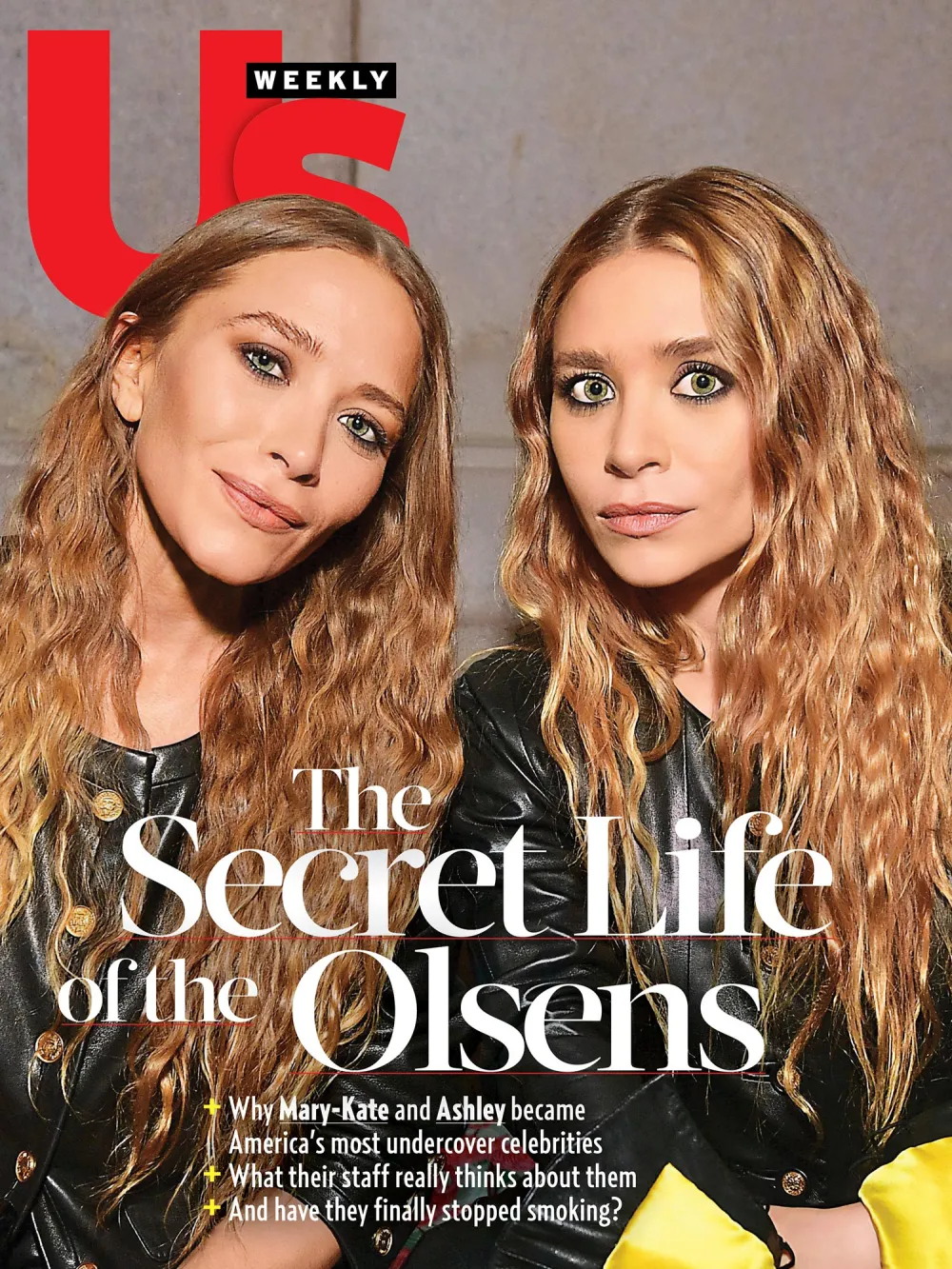 Olsen Twins 2432 Luxury Handbag Shopping Cover