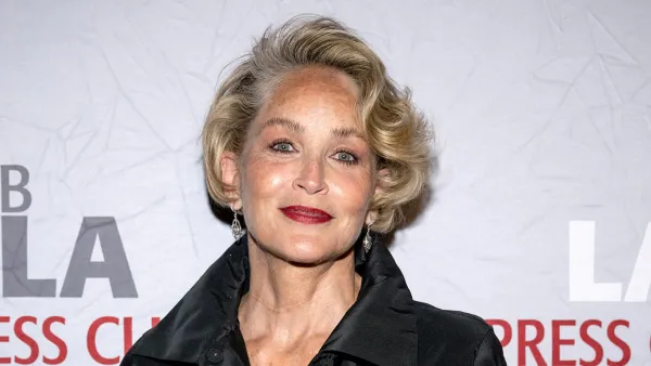 Sharon Stone Says She Lost 18 Million in Savings After Her 2001 Stroke