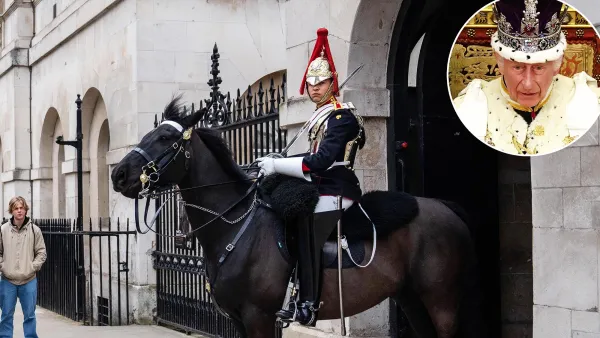 Royal Horse Bites a Lady