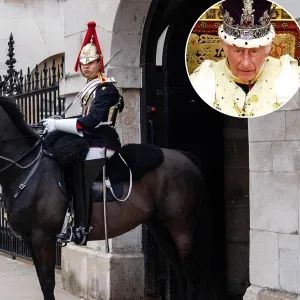 Royal Horse Bites a Lady