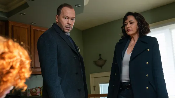 Blue Bloods Spinoff Wont Happen Soon