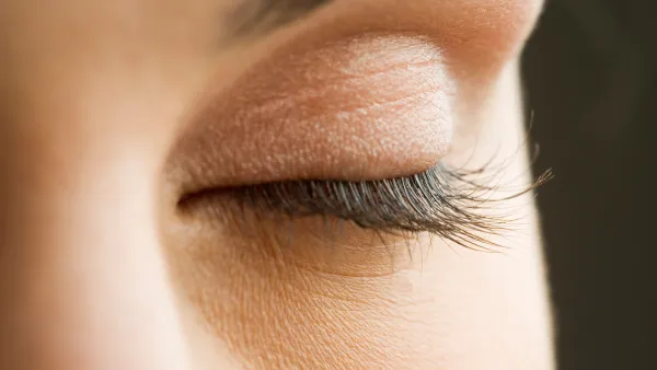 lashes