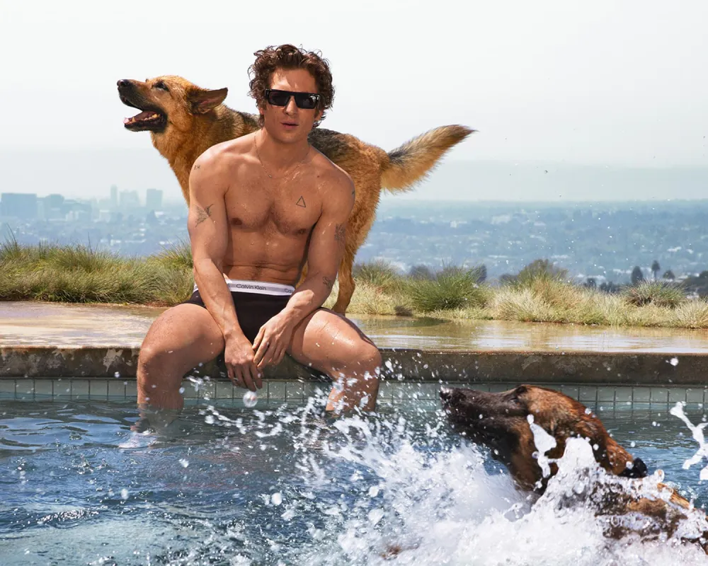 Calvin Klein Launches New Campaign Starring Jeremy Allen White