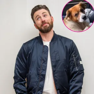 Chris Evans Dog