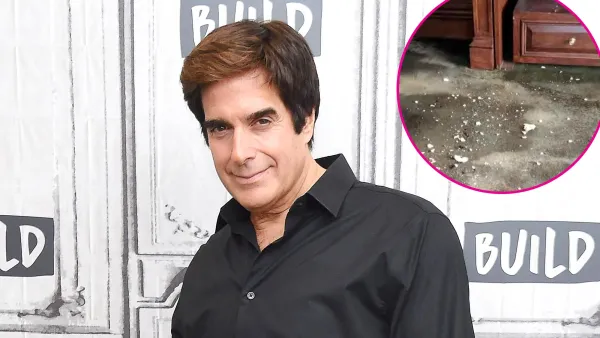 David Copperfield Sued by N Y C Condo Board for Over 2 5M for Allegedly Trashing Manhattan Penthouse 946
