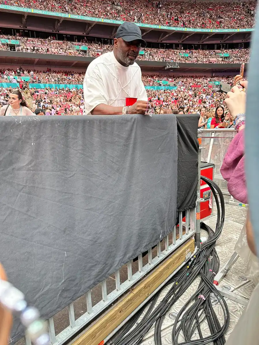 Every Celebrity Who Went to 1 of Taylor Swift’s ‘Eras Tour’ Concerts in London 167