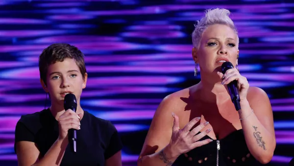 Feature Willow Sage Hart and Pink Democratic National Convention