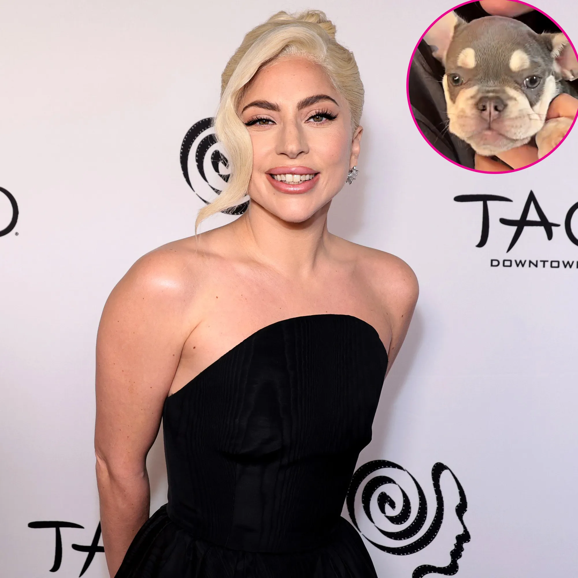 Lady Gaga Adopts New Puppy 3 Years After Dog Walking Kidnapping Incident