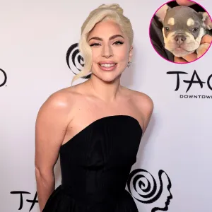 Lady Gaga Adopts New Puppy 3 Years After Dog Walking Kidnapping Incident