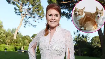Sarah Ferguson Celebrates Queen s Corgis on International Dog Day 230