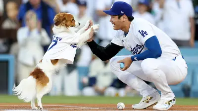 Shohei Ohtani’s Dog Threw Out the 1st Pitch at Dodgers Game on His Bobblehead Night