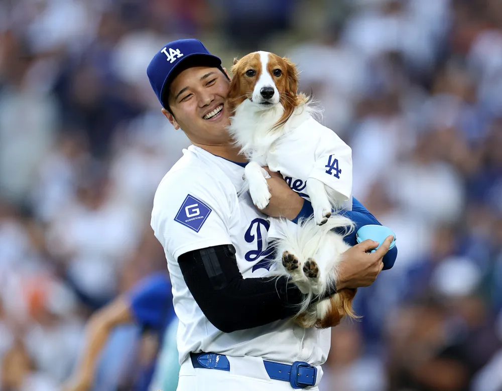 Shohei Ohtani&rsquo;s Dog Threw Out the 1st Pitch at Dodgers Game on His Bobblehead Night
