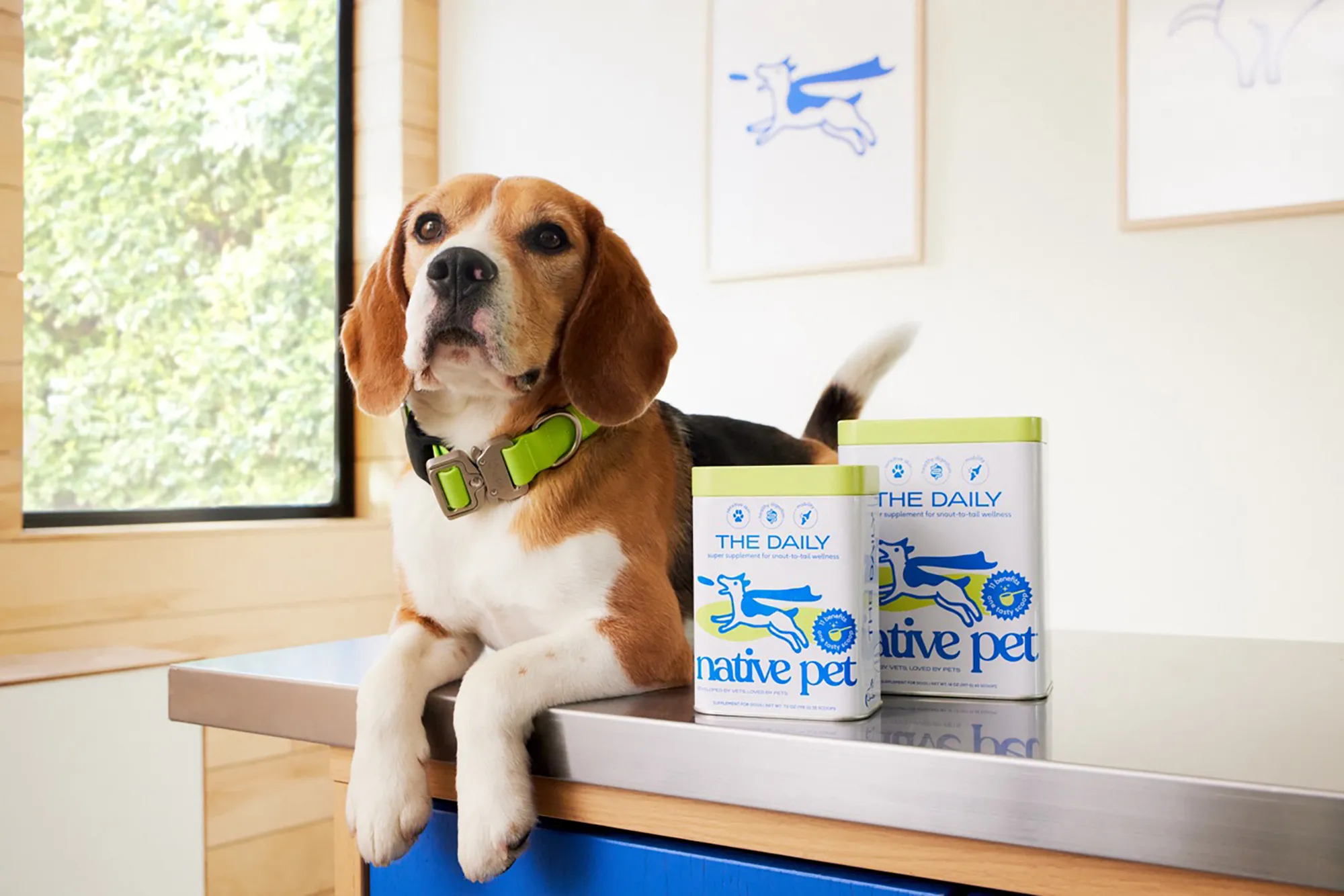 native-pet-dogust-sale