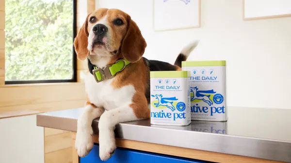 native-pet-dogust-sale