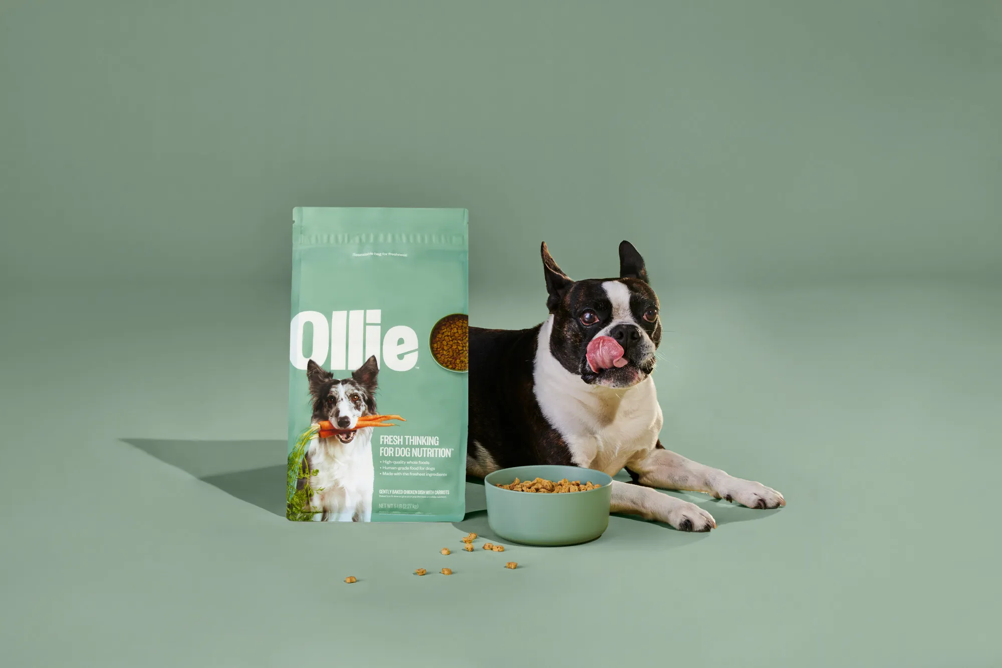 dog with ollie food