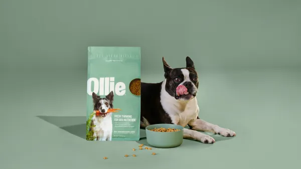 dog with ollie food