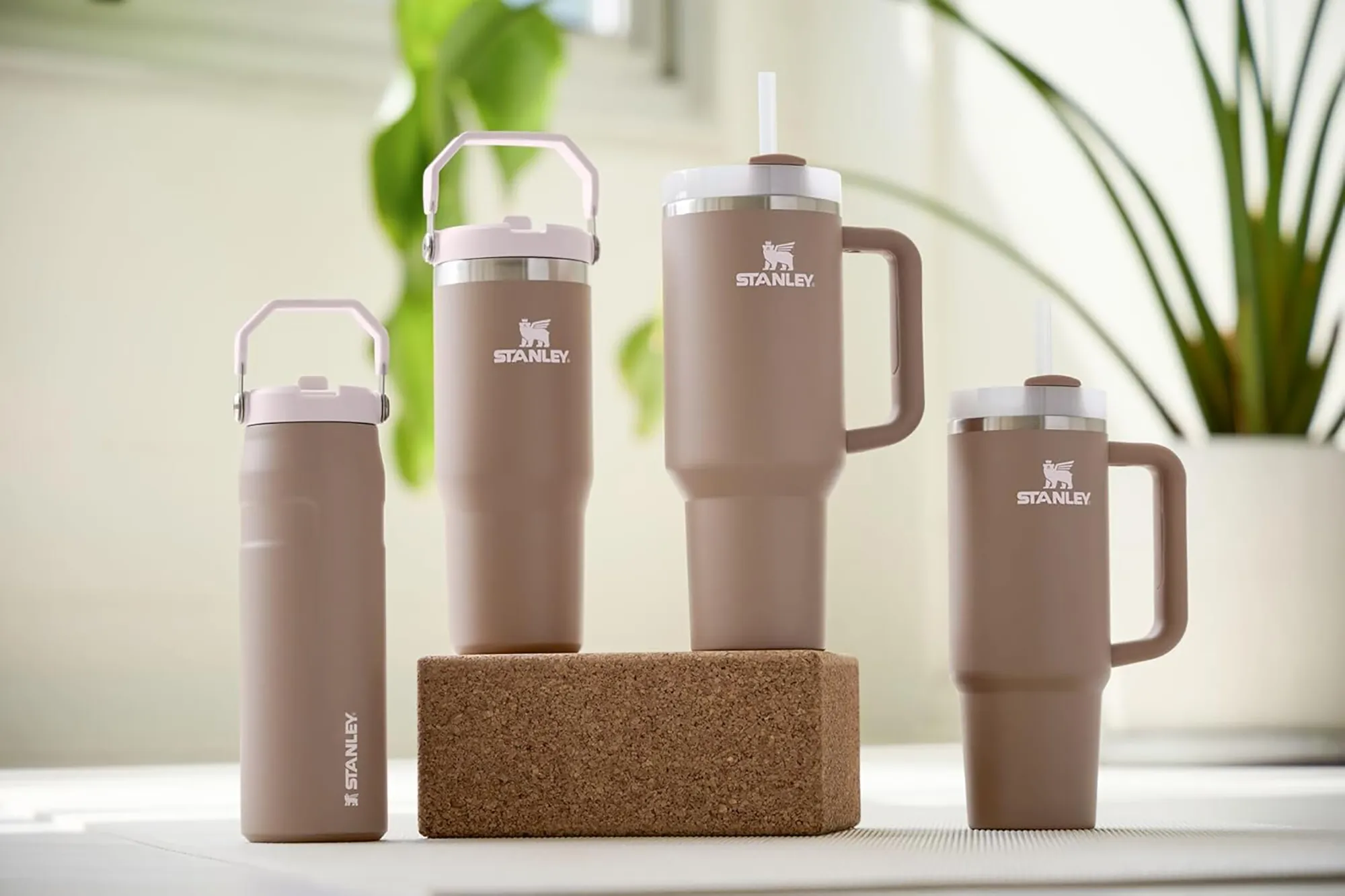 stanley-almond-rose-amazon