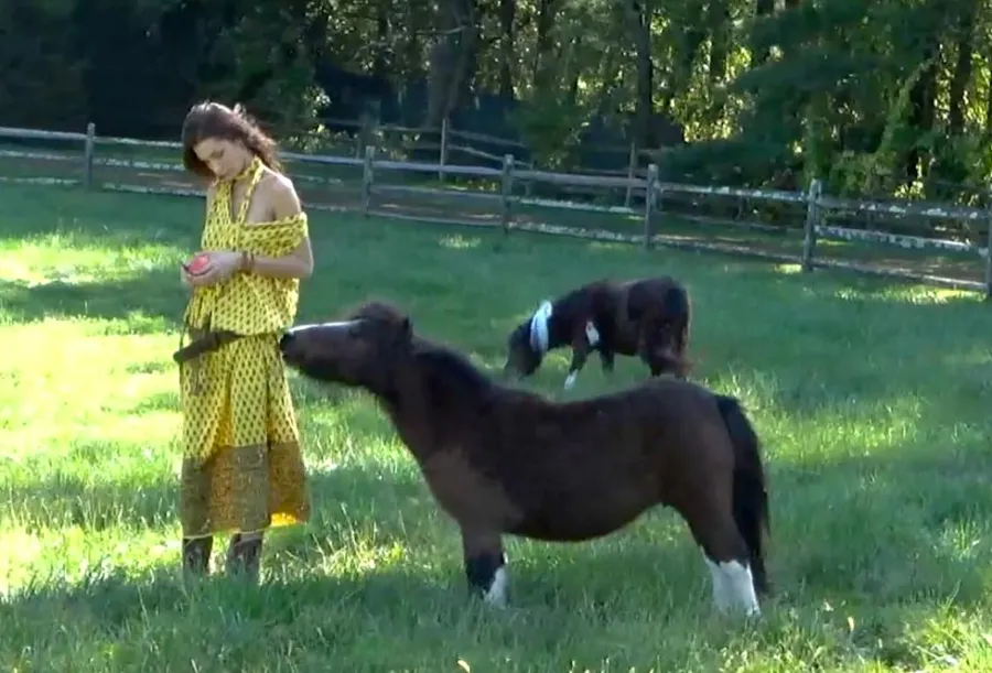 Bella Hadids Farm Style May Just Be Better Than Her Red Carpet Looks