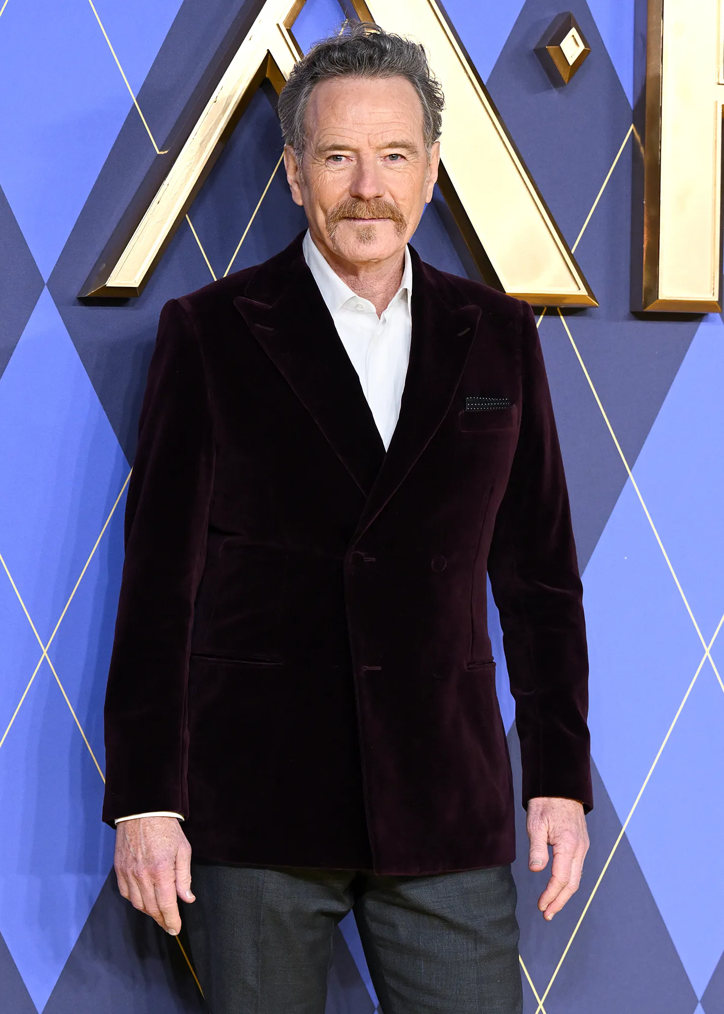 Bryan Cranston Celebrity Bio