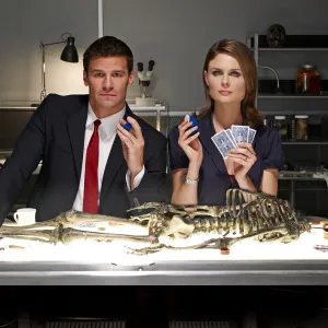Emily Deschanel Is Surprised David Boreanaz Is Interested in Bringing Back Bones