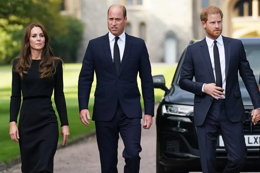Prince William and Prince Harrys Complicated Relationship Over the Years
