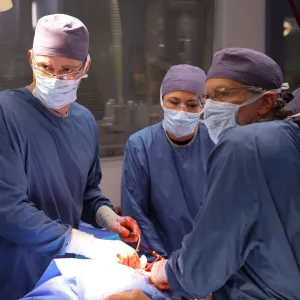 What Do Medical Dramas Use for Organs in Surgery Scenes And How Do They Avoid Accidental Injuries