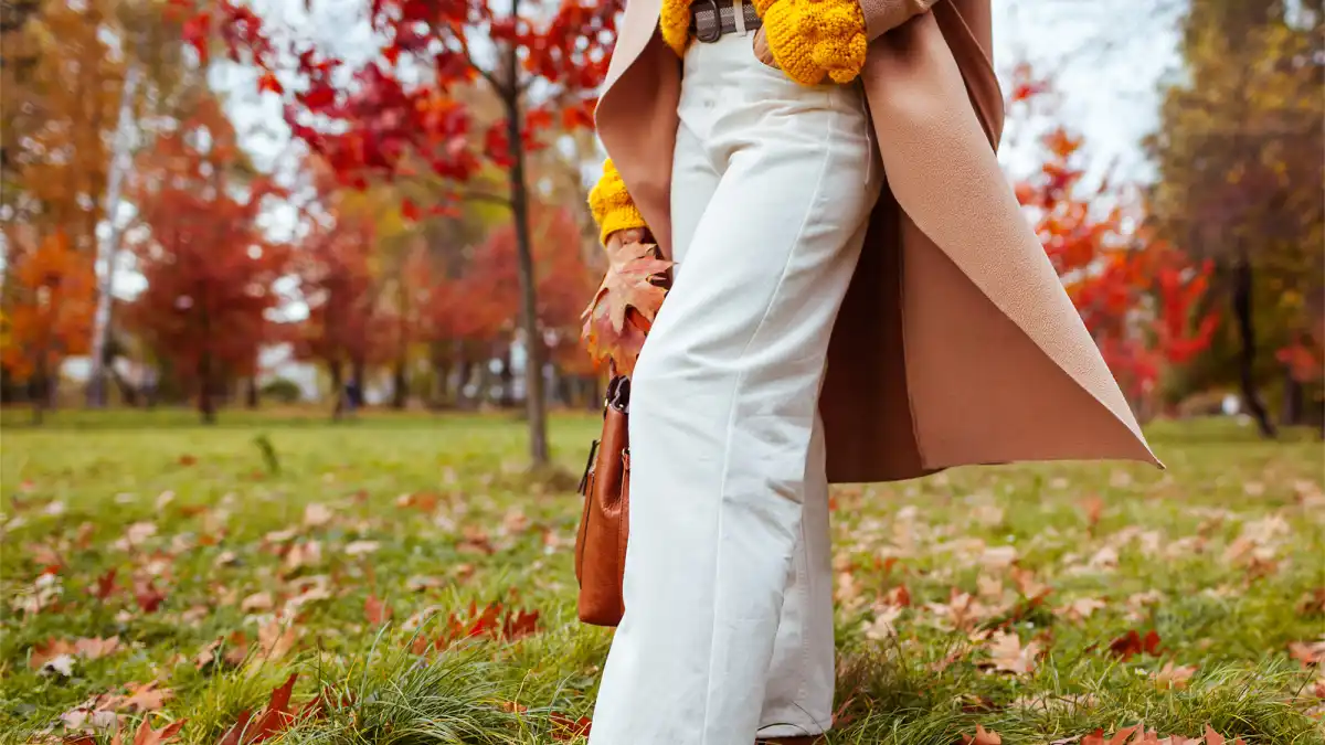 work-appropriate fashion finds