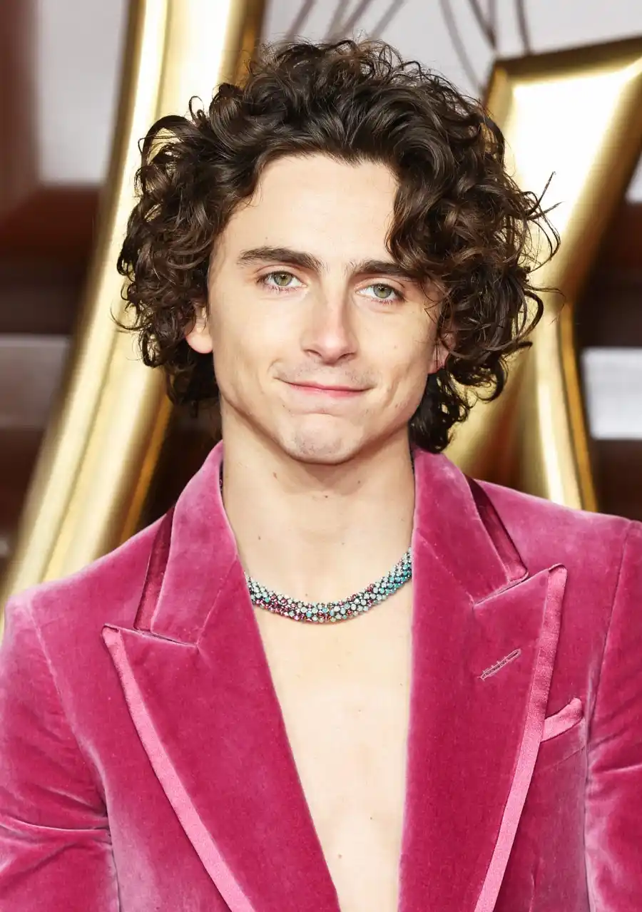 Timothee Chalamet Hair Moments Through the Years