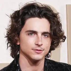 Timothee Chalamet Hair Moments Through the Years