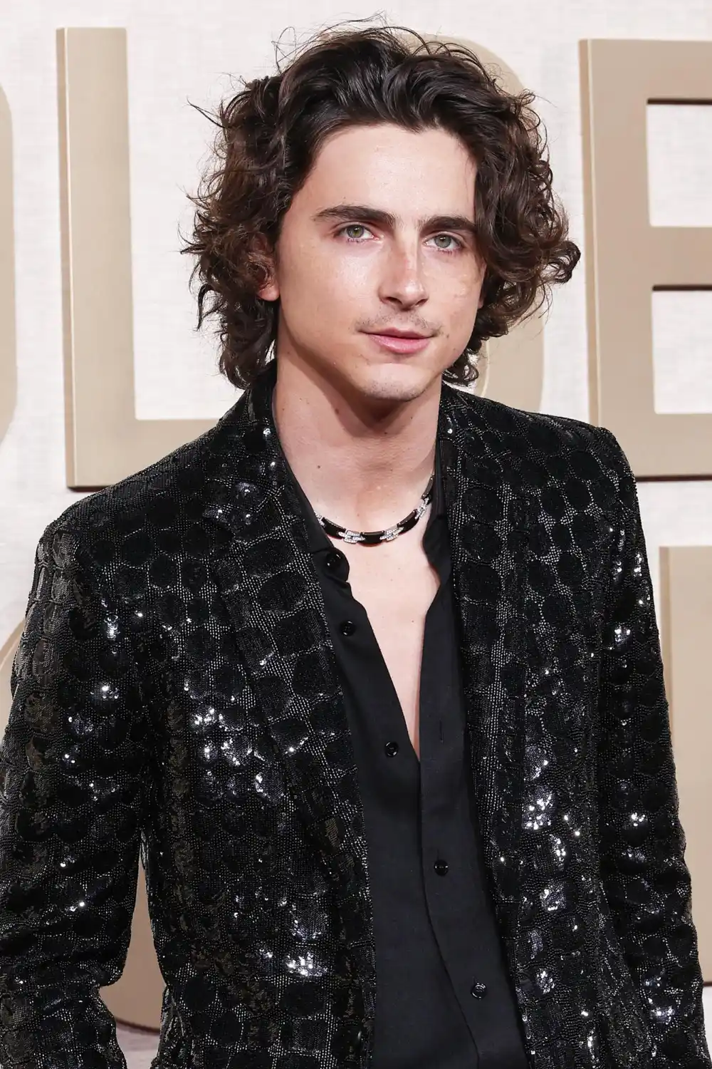 Timothee Chalamet Hair Moments Through the Years