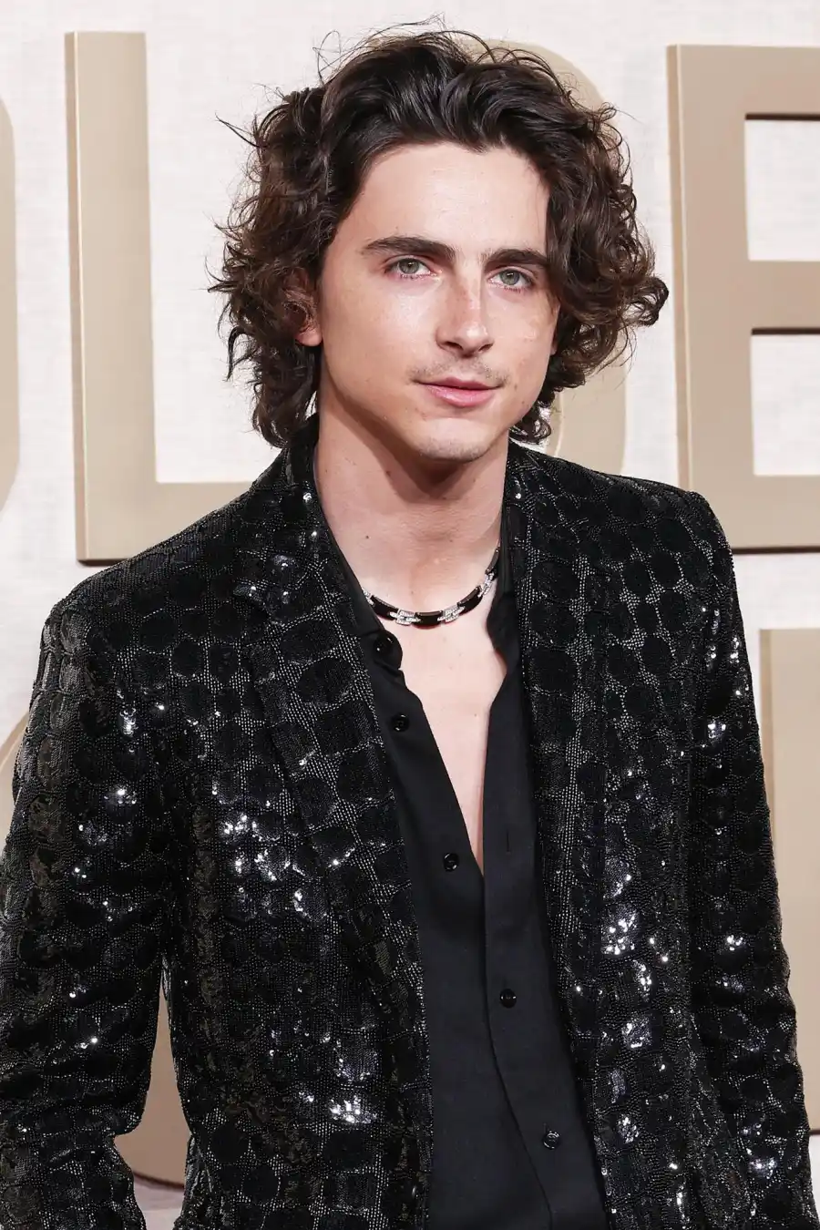Timothee Chalamet Hair Moments Through the Years