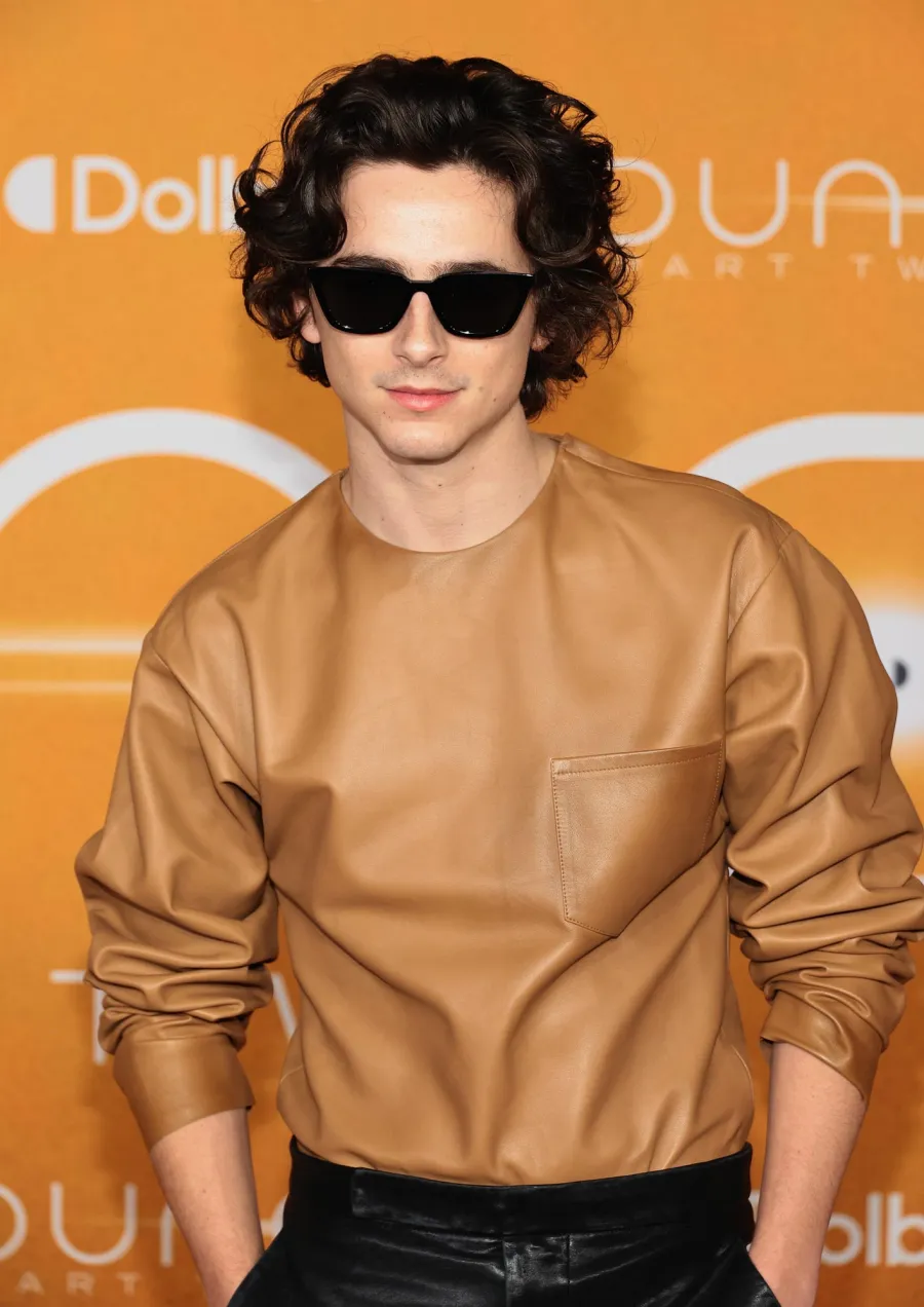 Timothee Chalamet Hair Moments Through the Years