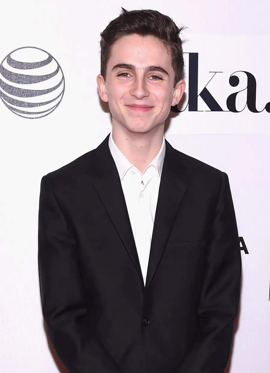 Timothee Chalamet Hair Moments Through the Years