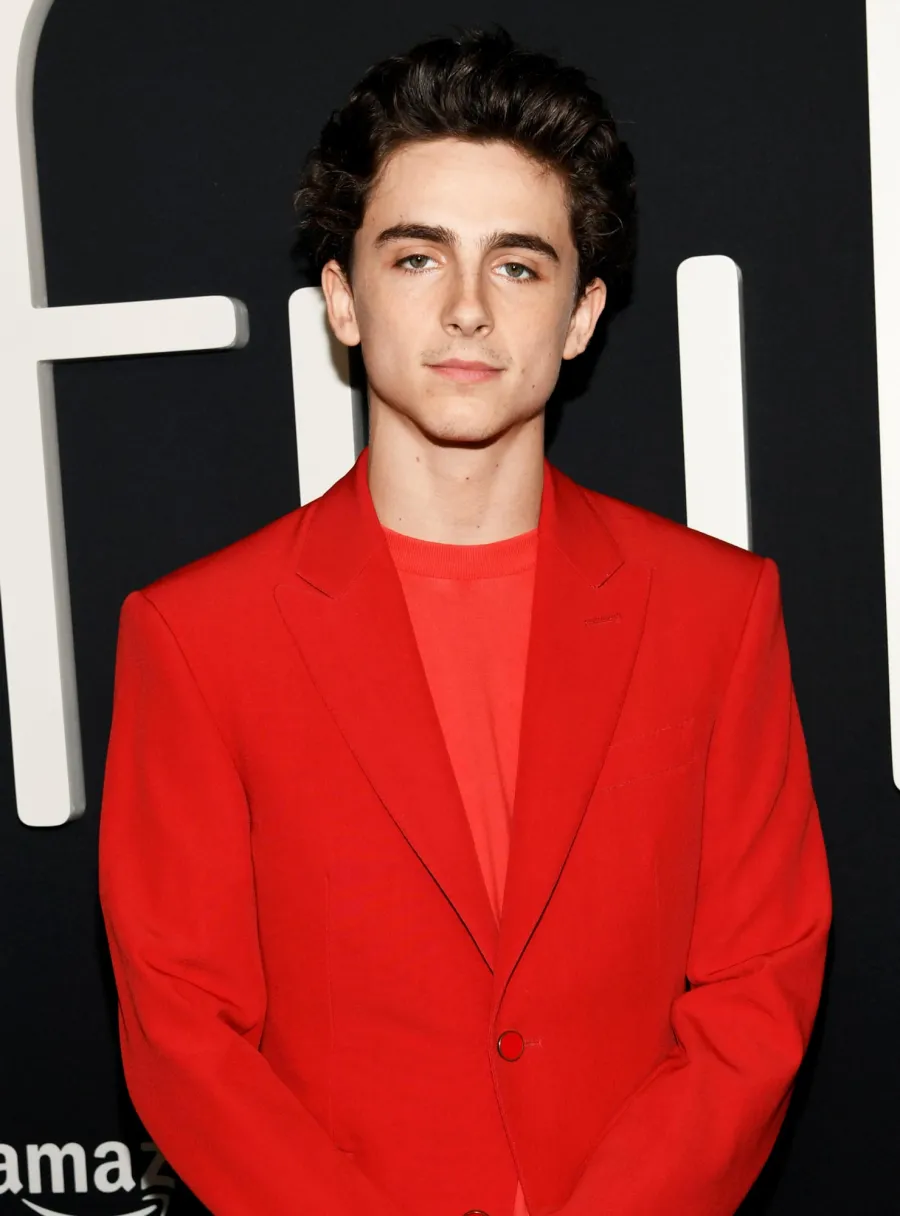 Timothee Chalamet Hair Moments Through the Years