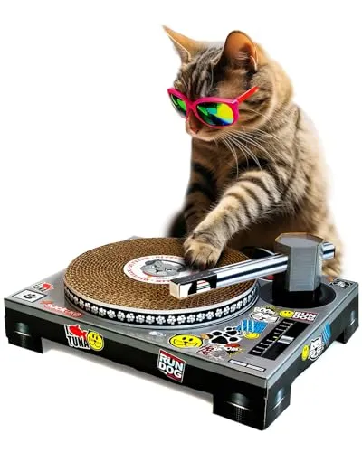 For the Pet Parent with a Sense of Humor: DJ Cat Scratch Turntable