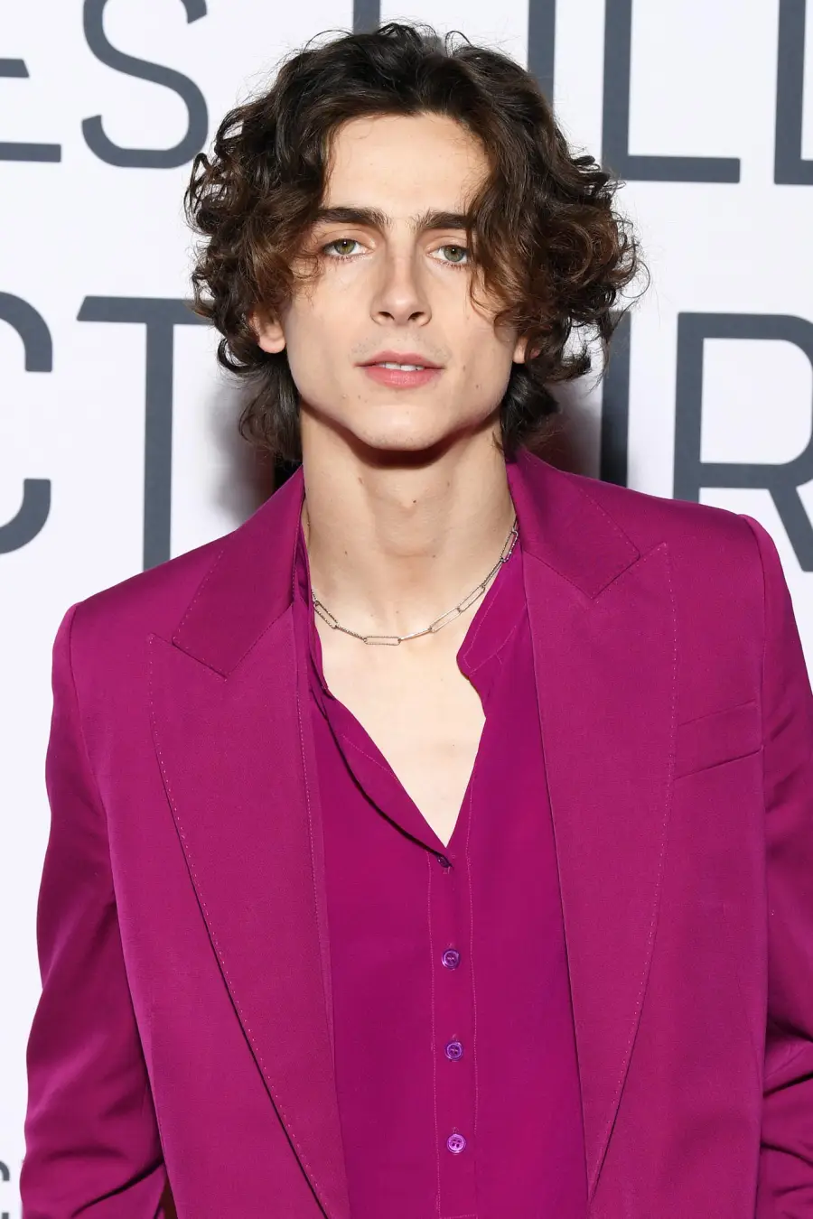 Timothee Chalamet Hair Moments Through the Years