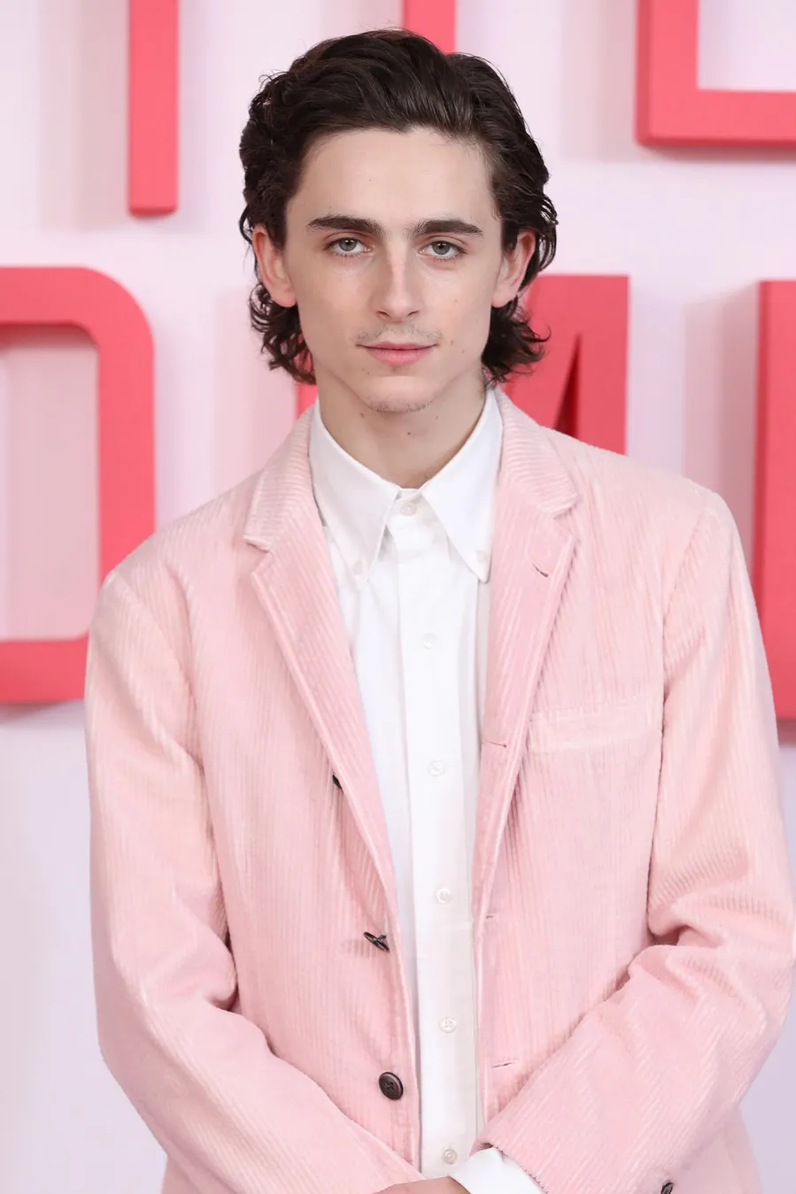 Timothee Chalamet Hair Moments Through the Years
