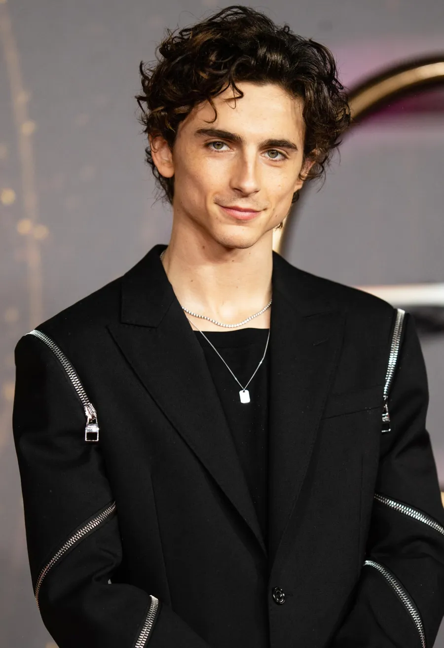 Timothee Chalamet Hair Moments Through the Years