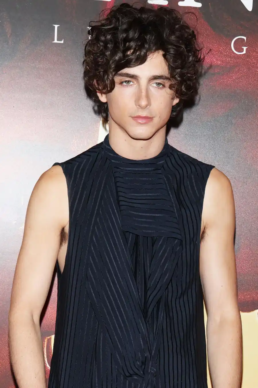 Timothee Chalamet Hair Moments Through the Years
