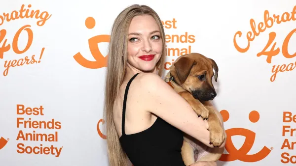 Amanda Seyfried Always Takes In Injured Animals on Her Farm